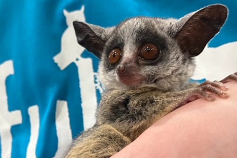 【兵庫・三宮】癒される動物とふれあい2時間体験！※現地でワンオーダー制