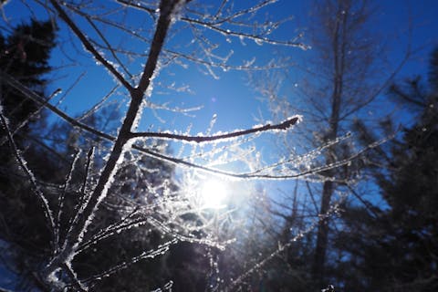 【長野・松本・野麦峠・輪かんじきツアー（1DAY）】映画でも有名な野麦峠を輪かんじきトレッキング！ ゆっくりペースなのでお気軽にご参加頂けます♪峠ピークから絶景の乗鞍岳ご褒美♪アウトドア温かランチ♪