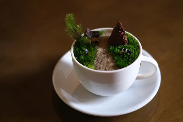 岡山・盆栽作り】苔のむすまで苔づくし！カップで作る苔の寄せ植え体験