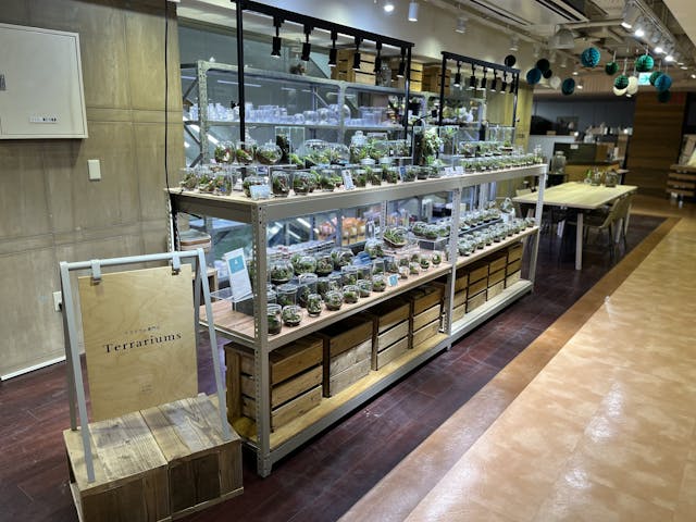 Terrariums メトロ・エム後楽園店