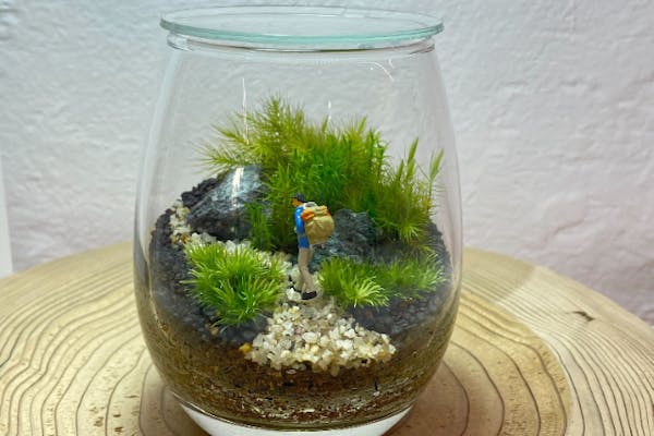 苔テラリウム 東京・文京・後楽園】しずくボトルで作る苔のテラリウム（90分