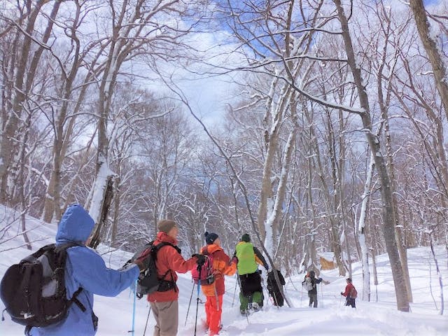 白神山地森のえき（（一社）白神山地ふじさと観光協会）