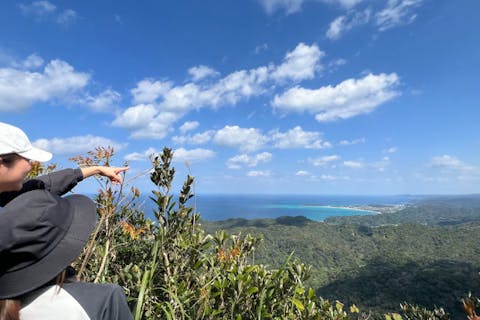 【沖縄・大宜味村・トレッキングエコツアー】大宜味村最高峰ネクマチヂ岳を登る沖縄県北部・世界自然遺産やんばるの森トレッキングエコツアー（半日・満喫コース）＜初心者OK／子どもOK／少人数制／通年OK＞