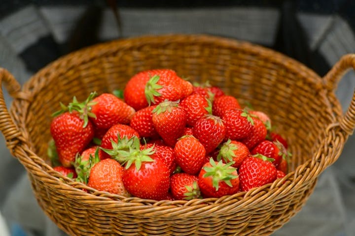 株式会社こまち野