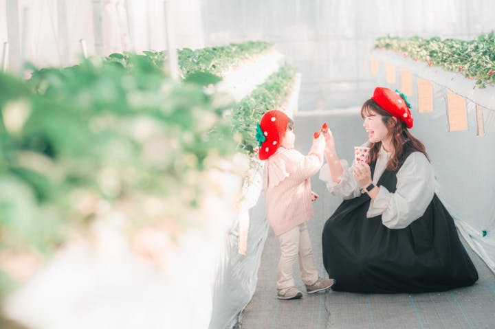 twins farm 真岡いちご園