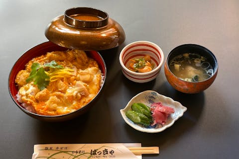 こたつ体験+わらび座小劇場公演+お食事（比内地鶏の極上親子丼）+ご入浴