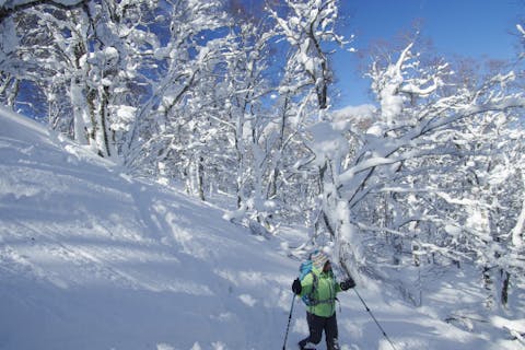 【秋田・鹿角・スキーハイク】山毛森 BUNAMORIスキーハイクツアー ～パウダースノーのブナ林をめぐる～