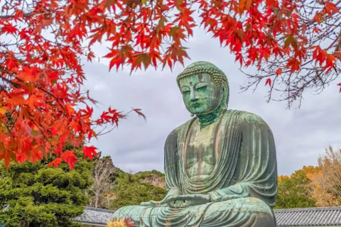 神奈川・鎌倉・貸切りガイドツアー】鎌倉の有名スポットを専任ガイドと