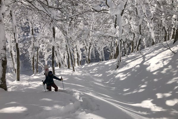 Spur akita mountain guide｜ネット予約ならアソビュー！