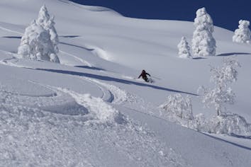 ◇ スキー elan Aconcagua 165 ツーリング バックカントリー ◇ スキー
