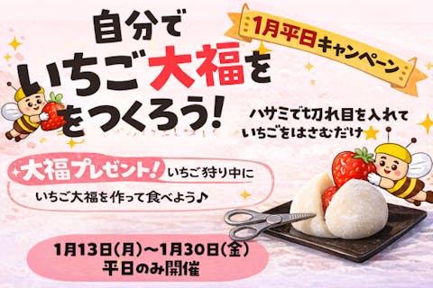 ひたちなかのいちご狩り【平日キャンペーン1/13START】3品種以上食べ比べプラン！ファミリー・カップルにオススメ♪