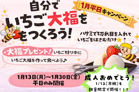 ひたちなかのいちご狩り【平日キャンペーン1/13START】3品種以上食べ比べプラン！ファミリー・カップルにオススメ♪