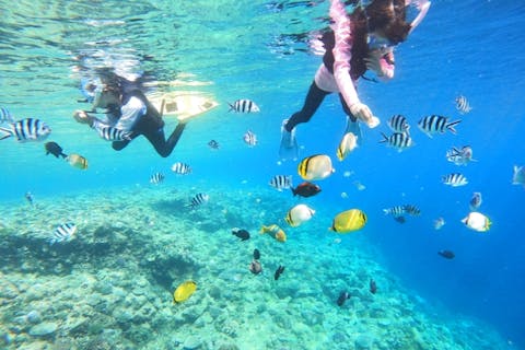 【沖縄・北谷・シュノーケリング】北谷出発・送迎あり・約2時間（1日4回開催）砂辺・熱帯魚＆サンゴ礁ボートスノーケリング