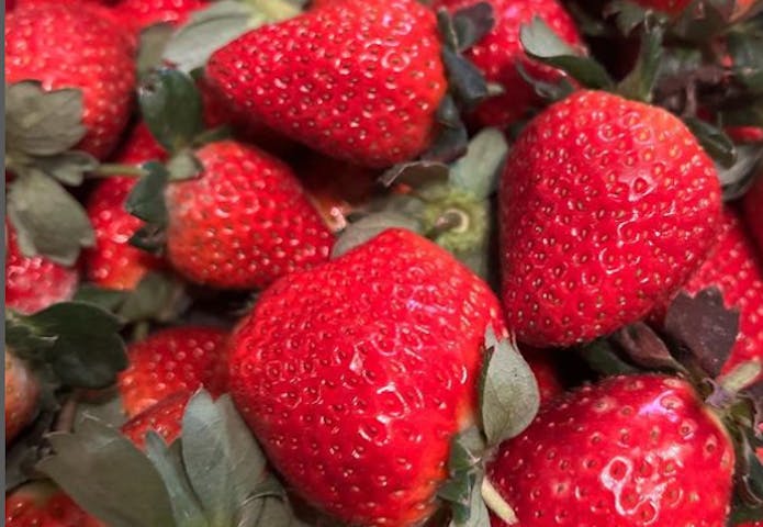 玄海いちご狩り農園