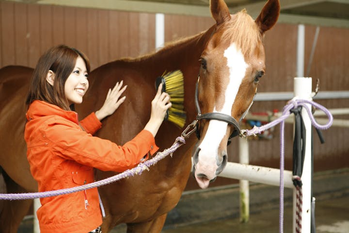 乗馬クラブ ニューシーズン御殿場