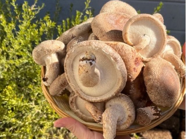 株式会社アグリバンク﻿