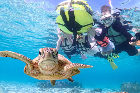 【宮古島/無料送迎】ウミガメやカラフルなお魚と泳げる贅沢シュノーケルツアー2時間／当日予約＆前日予約OK！