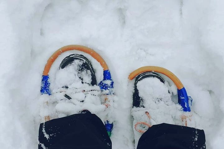 二ツ井町観光協会