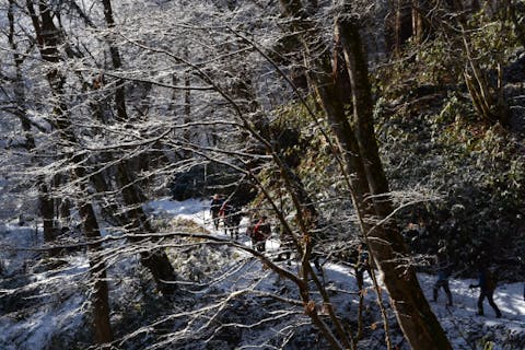 【秋田・能代・トレッキング】お土産付き！冬の七座山でかんじき体験ツアー！