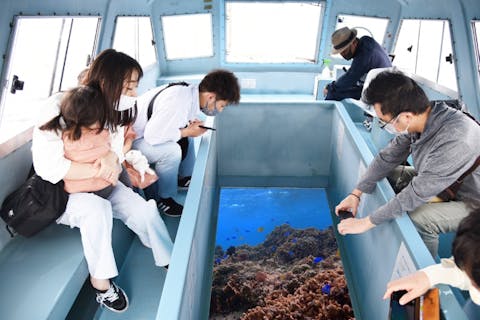【沖縄・南城】年齢制限なし／南城市周遊／グラスボートで海中散策&＜カフェくるくま＞ガパオランチ♪ウミガメ遭遇率60％！ファミリー・カップル・社員旅行で大人気！新原ビーチ沖の手つかずの自然を満喫♪
