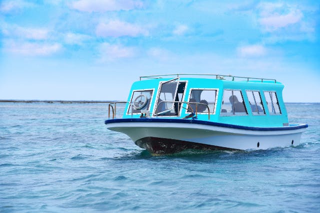 【沖縄・南城】年齢制限なし／南城市周遊／グラスボートで海中散策&＜カフェやぶさち＞創作タコライス♪ウミガメ遭遇率60％！ファミリー・カップル・社員旅行で大人気！新原ビーチ沖の手つかずの自然を満喫♪