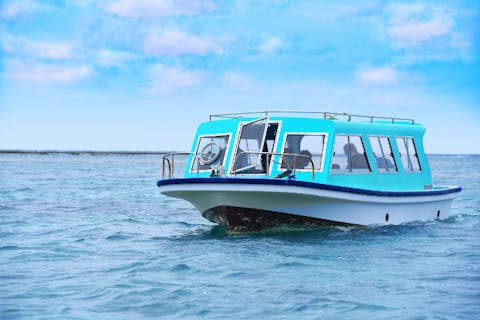 【沖縄・南城】年齢制限なし／南城市周遊／グラスボートで海中散策&＜カフェやぶさち＞創作タコライス♪ウミガメ遭遇率60％！ファミリー・カップル・社員旅行で大人気！新原ビーチ沖の手つかずの自然を満喫♪