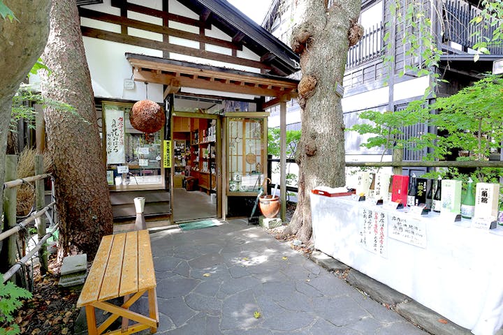 樹の下やよしなり