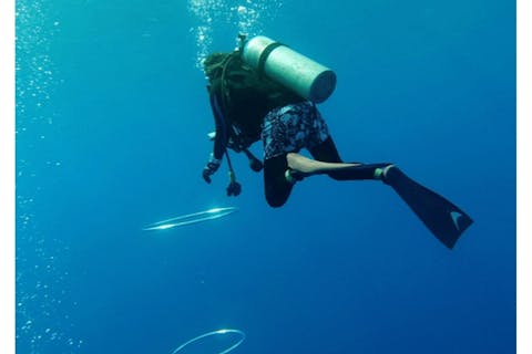 【静岡・清水・ライセンス取得】アソビュー限定！2日間で初心者ライセンス取得〜PADIオープンウォーターコース