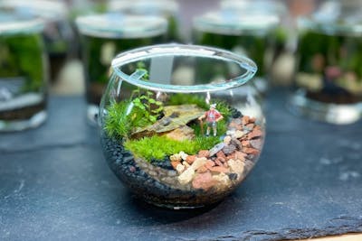 宮城・仙台・苔テラリウム】ガラス瓶で作る苔のテラリウム（90分