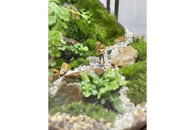 宮城・仙台・苔テラリウム】ガラス瓶で作る苔のテラリウム（90分