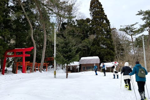 【秋田・能代・ウォーキング】かんじき･スノーシュー体験！日本最大級の松林「風の松原」を案内ガイドと一緒にウォーキング