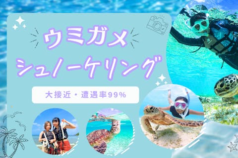 【宮古島・2時間】ウミガメ大接近シュノーケル｜シャワー・着替えスペースあり｜写真＆動画は即日プレゼント｜全額返金保証