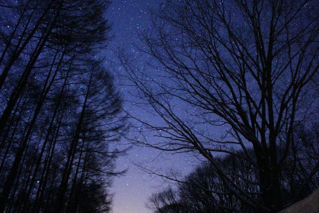 【新潟・越後湯沢・スノーシュー】魚沼の夜の雪原へ！月と星を見ながら進むナイトコース