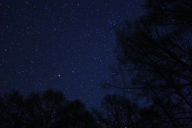 【新潟・越後湯沢・スノーシュー】魚沼の夜の雪原へ！月と星を見ながら進むナイトコース