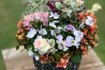 ガーデニングカフェ花草｜ネット予約ならアソビュー！