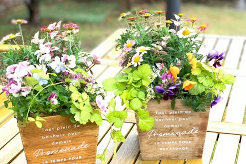 【秋田・由利本荘・フラワーアレンジメント】花束のように寄せ植え！プランツギャザリングレッスン＜ビギナーコースランチ付＞