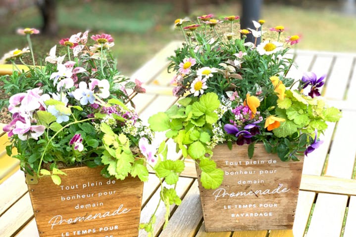 ガーデニングカフェ花草