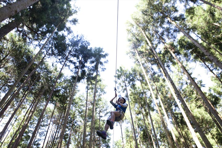フォレストアドベンチャー・小田原