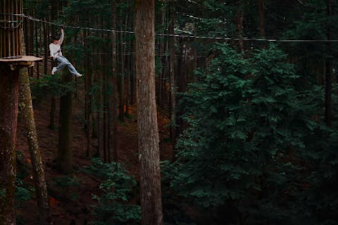【神奈川・小田原】夏休み限定ナイトアドベンチャー！夜の森でジップライン！！