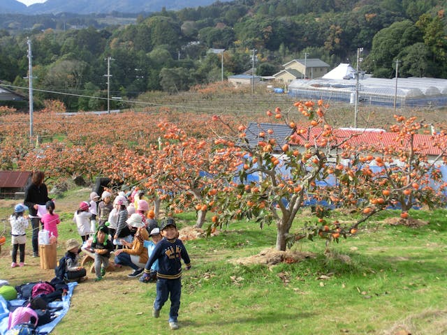 陽だまりの里　足立柿園