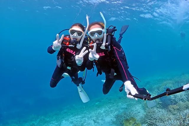 【沖縄・宮古島・ファンダイビング】『八重干瀬』に潜って、熱帯のサンゴ礁に覆われた海を堪能しよう！うれしい2ダイブ！