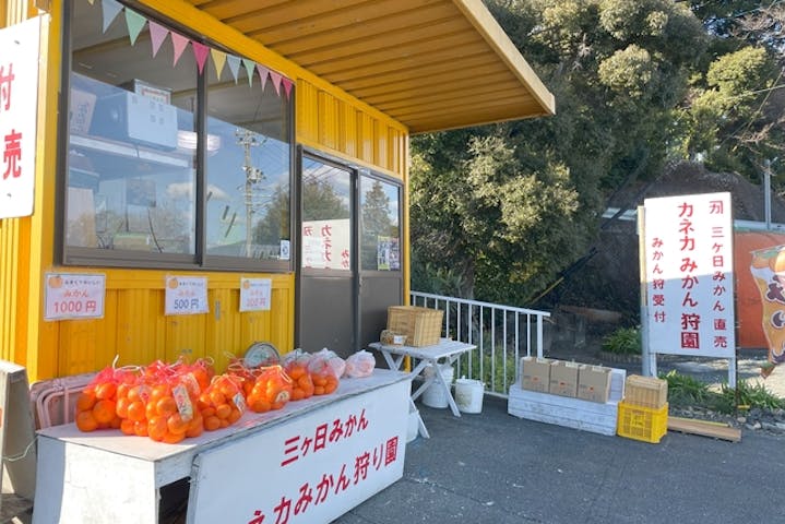 カネカみかん狩り園