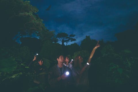 【沖縄・本島南部】本物のジャングルを冒険！小学生から参加できるナイトトツアー【レンタルウェア付き】