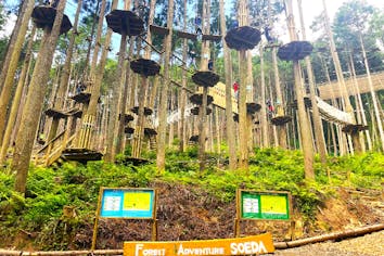 福岡・添田・フォレストアドベンチャー】☆アソビュー！限定価格