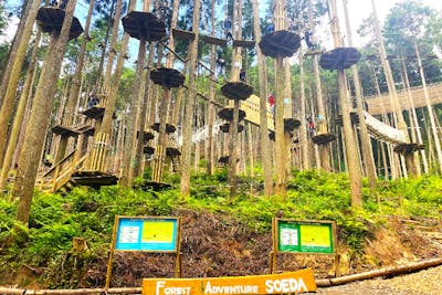 福岡・添田・フォレストアドベンチャー】☆アソビュー！限定価格