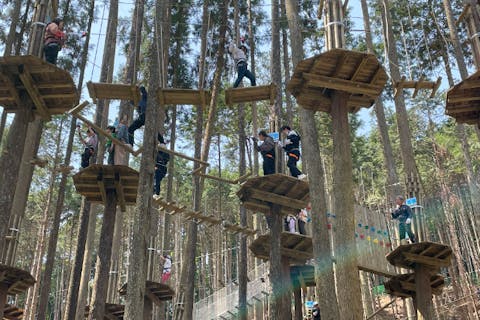 【福岡・添田・フォレストアドベンチャー】★アソビュー！限定価格★初心者大歓迎！キャノピーコース