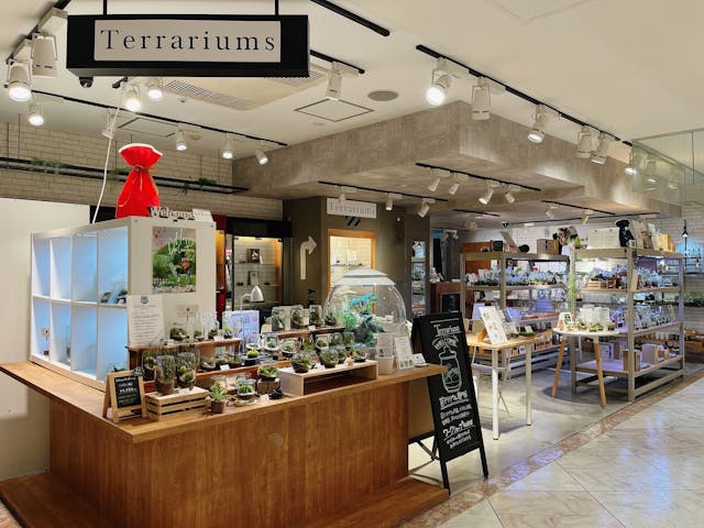 Terrariums 吉祥寺