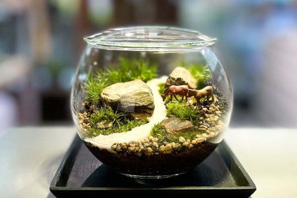 幕張新都心】ガラス瓶で作る苔のテラリウム（90分）｜アソビュー！