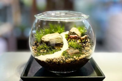 幕張新都心】ガラス瓶で作る苔のテラリウム（90分）｜アソビュー！