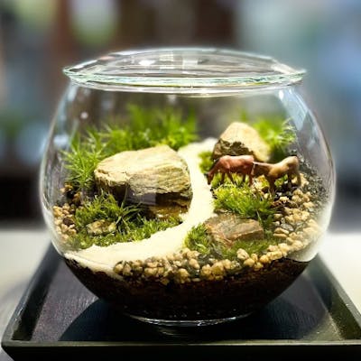 幕張新都心】ガラス瓶で作る苔のテラリウム(90分)|アソビュー! 幕張新都心】ガラス瓶で作る苔のテラリウム(90分)|アソビュー!